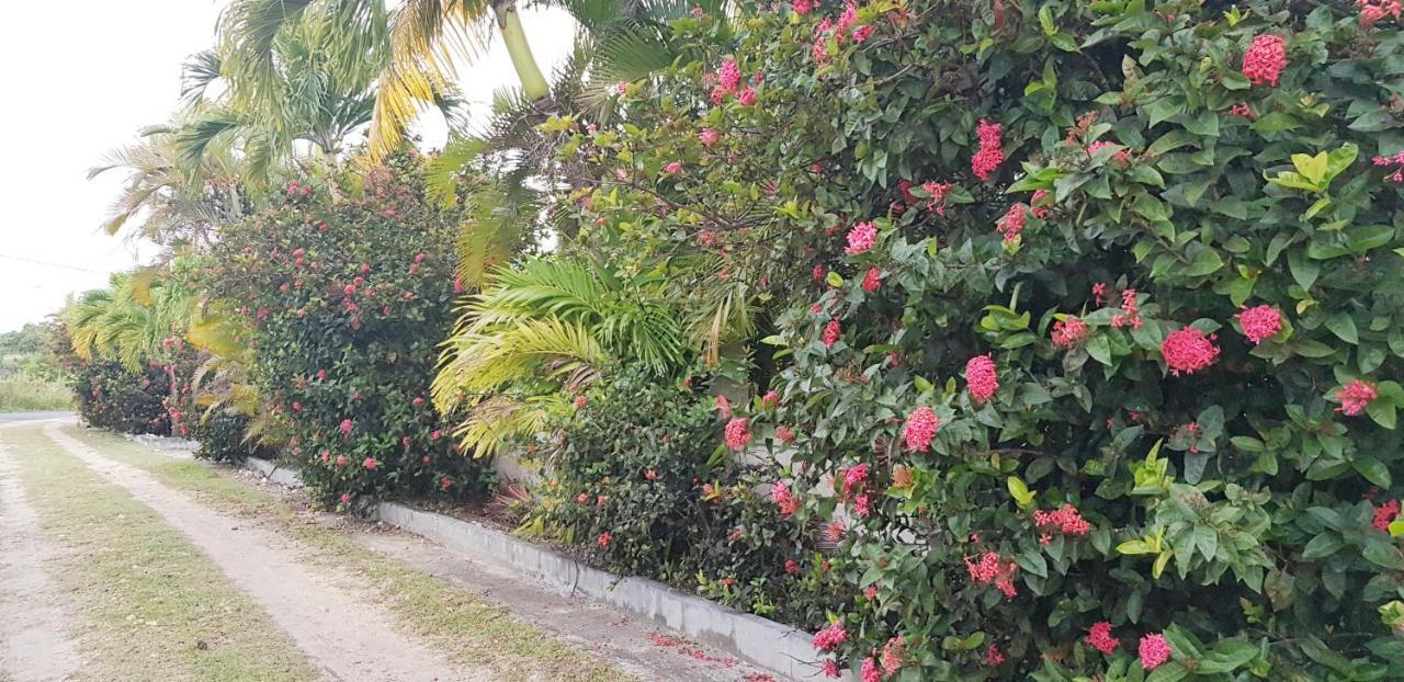 Villa La Belle Creole Sainte-Anne  Exterior foto